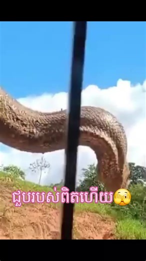 វីដេអូ​របស់ wei yi (@yi.wei38) ជាមួយ original sound - Yi Wei - wei yi