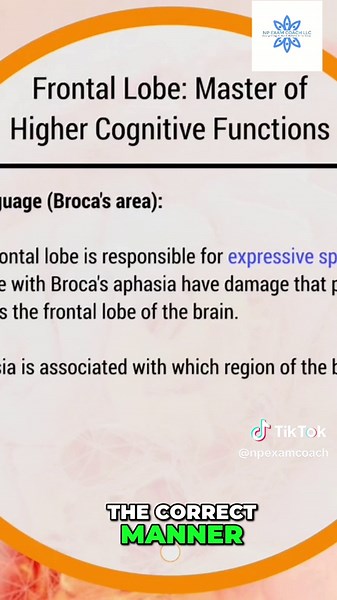 Unlock the secrets of expressive speech! Discover Broca's area and understand Broca's aphasia. Knowledge is power with NP Exam Coach! #Neuroscience #BrocasArea #SpeechPathology #NPExamCoach #BrainFacts