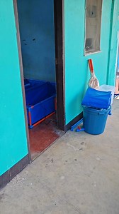 2 sets nang 8x4x1ft with 3 partition.. Napalaban talaga.. 😅😅😅 | Ryan Zafra