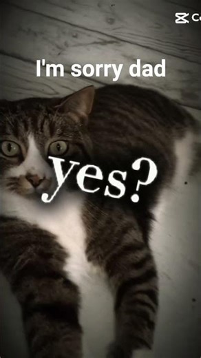 I'm sorry dad I'm bi.