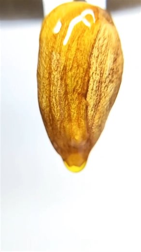 ✨UGC creator✨ on Instagram: "“Wait for the close-up ✨” [ Micro shot, lena, closeup, bts, behind the shot, micro lens, closeup shot, details,] #microshot #microlens #reelitfeelit❤️❤️ #viralvideos #ugccreator"