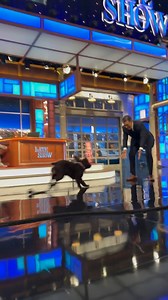 The Late Show with Stephen Colbert on Reels