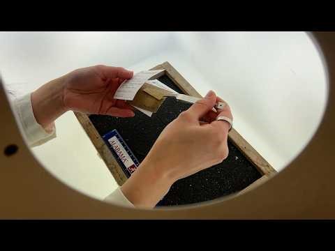 Curating and Digitizing the Paleontology Collections