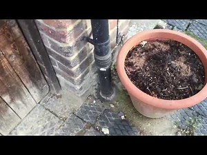 My house is damp, what do I need to know.