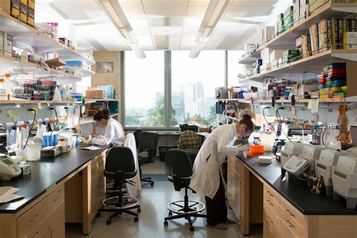 Undergraduate Research Week showcases student innovation and creativity