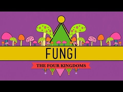 Fungi: Death Becomes Them - CrashCourse Biology #39