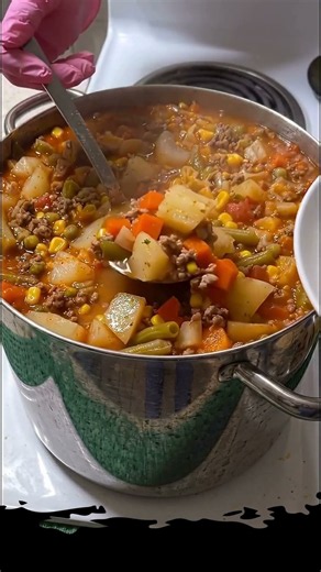 Vegetable Beef Soup