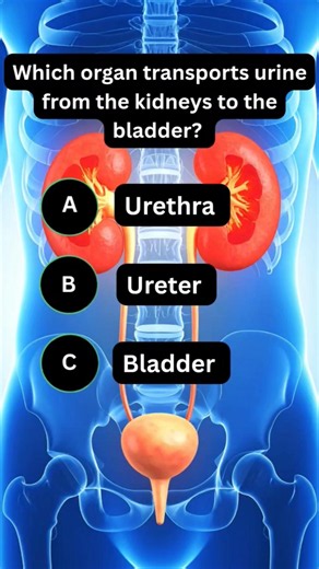 General knowledge Science quize, #quiz #triviatricks #gkquiz