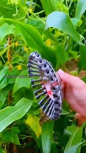 184K views · 512 reactions | Alat pemotong Rumput yang sangat bagus dan praktis #pertanian #alatmodern #trik #tipsberkebun #tips | Kodam Grow | Facebook