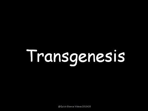 Transgenesis