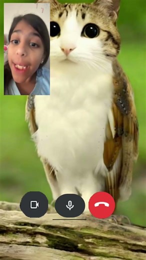 Why do keep calling me!