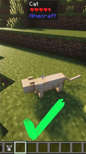 cats don't take fall damage in minecraft #minecraft #shorts