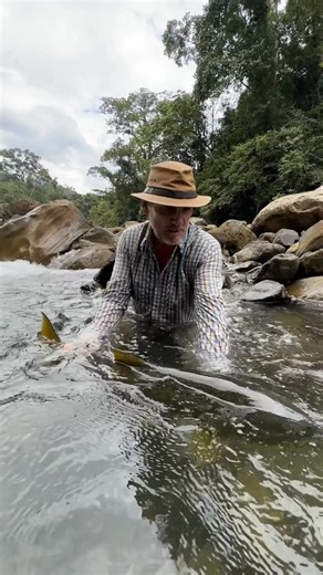 Marcelo Jorge Perez on Instagram: "Exploring an unknown stretch of the Tsimane headwaters — big rocks, river crossings, and wild dorado everywhere. A backhand cast to avoid the rocks. A light take. A small fish jumps… gone? Then suddenly a much bigger dorado detonates on the other side of the line. Pure jungle madness. A moment I’ll never forget."