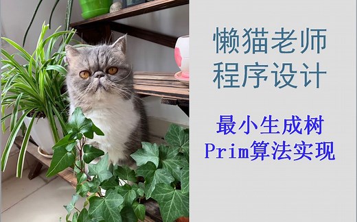 懒猫老师数据结构-(43)最小生成树(Prim算法的实现,普里姆算法,普利姆)