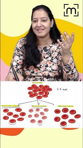 1 minute learning: Normocytic Anemia | Microctic Anemia | Macrocytic Anemia | MedLive