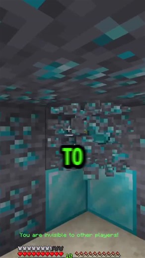 SiphonMC on Instagram: "How to get started on the Best Minecraft Survival SMP! #minecraft #minecraftpe #minecraftbedrock #minecrafttutorial"