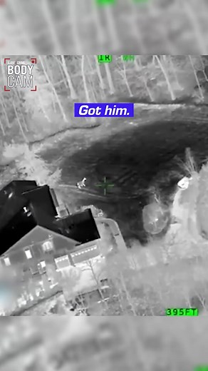 Llama On the Loose: Officers in Pursuit! 🦙🚓 #LlamaRescue #AnimalChase #FairfaxCounty #LlamaAlert #AnimalShelterRescue | Law&Crime Bodycam