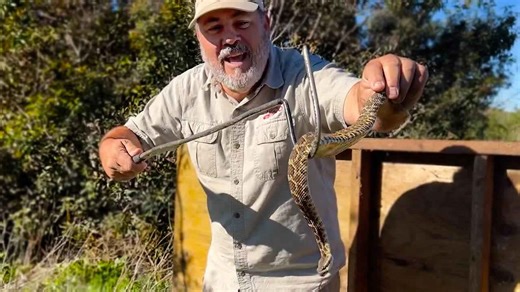 Rattlesnakes, Centipedes And More! Southern California Herping!