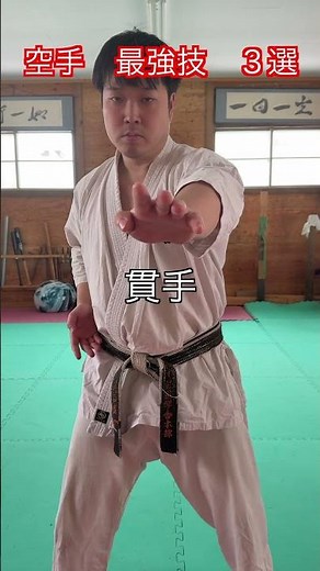 【武道・武術】空手 なんでもありの場合の最強の技 ３選 解説！！ #aikido ＃karate #martial #武道 ＃#空手＃合気道＃筋トレ#selfdefens