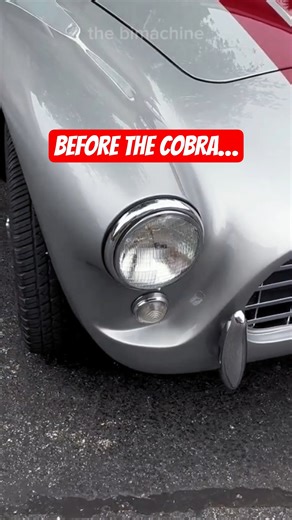 AC Ace Bristol — The Car That Created the Shelby Cobra #shorts #acacebristol #iconiccars
