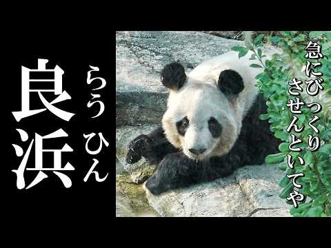 Oops! One Surprise and a Lightning-Fast Spin!