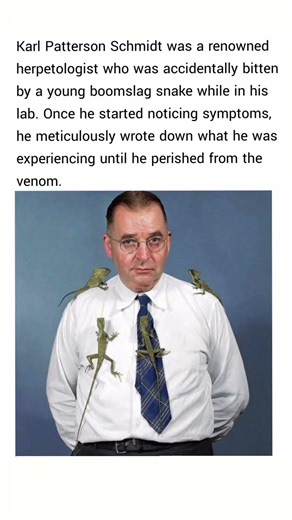 Karl Patterson Schmidt was a renowned herpetologist