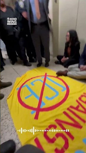 NYC Comptroller Brad Lander seeks trial over immigration court protest arrest