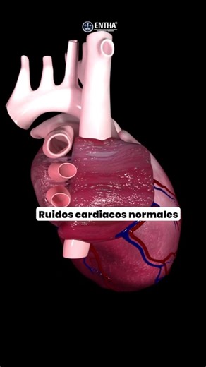 Ruidos cardiacos: Aprende a diferenciar lo normal de lo patológico ¿Sabes qué son los ruidos cardiacos? Son los sonidos que produce el corazón al latir. Pero, ¿cómo diferenciar entre lo normal y lo patológico? Ruidos normales: S1 (primer ruido): Cierre de las válvulas mitral y tricúspide S2 (segundo ruido): Cierre de las válvulas aórtica y pulmonar Ruidos patológicos: Soplos: Ruidos adicionales que pueden indicar problemas en las válvulas o el flujo sanguíneo S3 (tercer ruido): Puede indicar ins