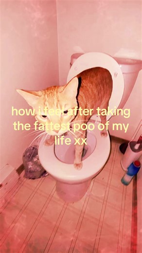 How I Feel After Taking the Fattest Poo