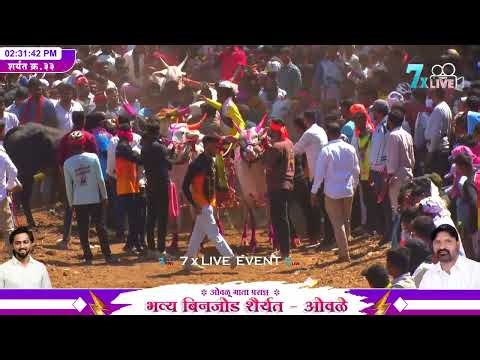 सचिन शेठ घरात, विशू दादा बोराडे कडाव करांचा महाकाल बिनजोड च्या गुलालाचा मानकरी