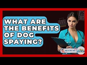 What Are The Benefits Of Dog Spaying? - Ask A Pet Vet