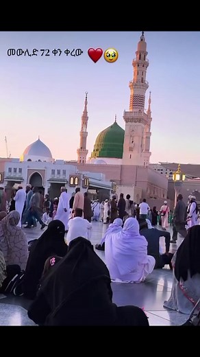 اللهم صل وسلم على نبينا محمد – فضل زيارة المدينة المنورة