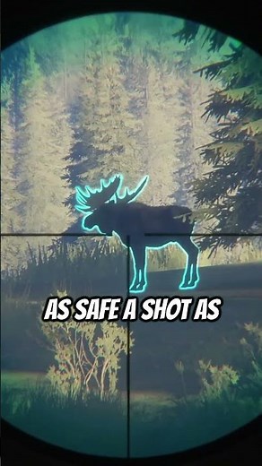 SIDE BY SIDE 💎 Diamonds 💎 Moose & Red Fox! #cotw #thehunter #thehuntercotw
