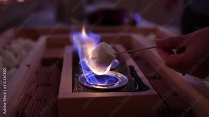 Marshmallow being toasted till it catches on fire
