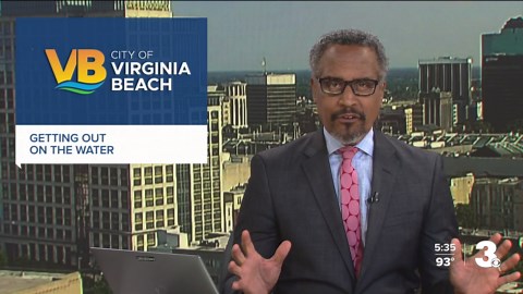 Cruise Stumpy Lake on a kayak from Virginia Beach's newest rental kiosk