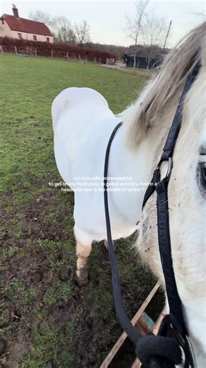 Galloping with My Pony in the New Forest