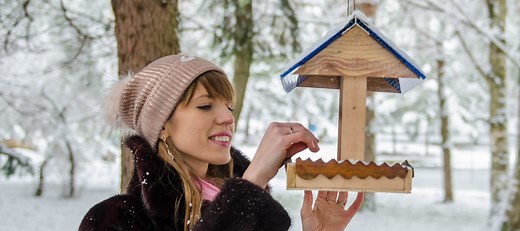 11 Reasons Why Birds Have Stopped Visiting Your Feeders!