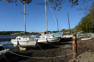 Nikon D600 sample image with 24-85mm