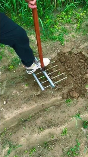 Broadfork: Alat Sederhana untuk Menggemburkan Tanah