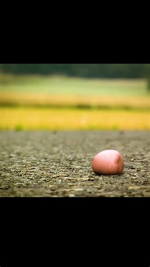 The Sticky Chain Reaction: A Fly's Gum Mishap