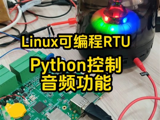 客户要的Linux可编程RTU音频功能已经做好了