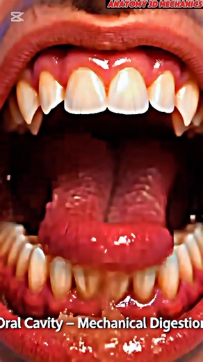 Eating Mouse 🐭 Effects 🥵 #science #3danimation #anatomy3d #facts #anatomyanimation #shortsfeed