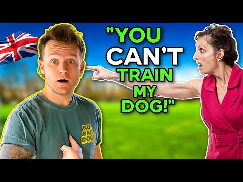 GROUND BREAKING AGGRESSIVE DOG TRAINING (TOM DAVIS IN LONDON)