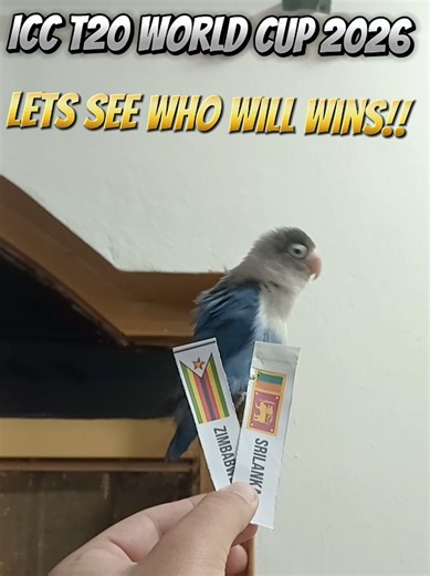 T20 World Cup 2026 Srilanka Vs Zimbabwe Please tiktok community do not remove my post #srilankan_tik_tok🇱🇰 #srilanka #t20worldcup2026 #sportsontiktok #Zimbabwe