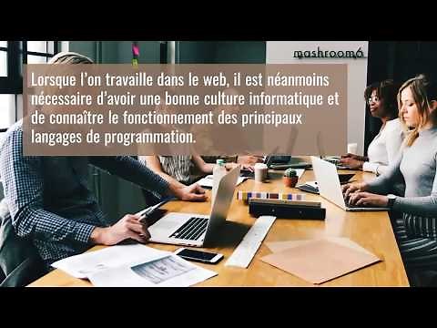 Top 10 Des Meilleurs Sites Pour Apprendre L'informatique