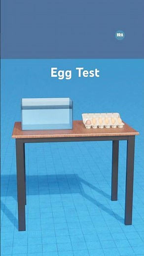 How to Scientifically Know if an Egg is Bad?