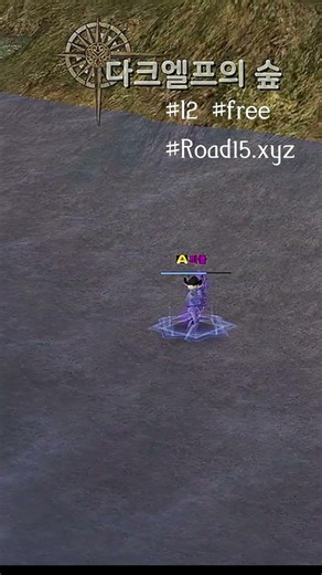 Pure Skill, No Gear Gap PvP | road15.xyz #lineage2