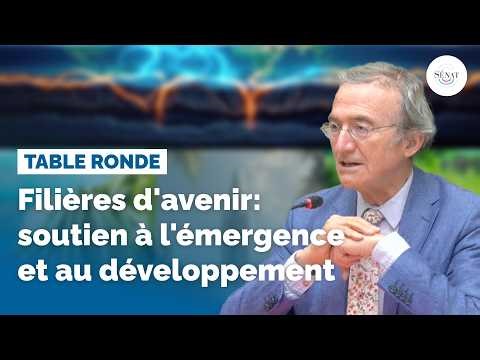 Filières d'avenir : soutien à l'émergence et au développement