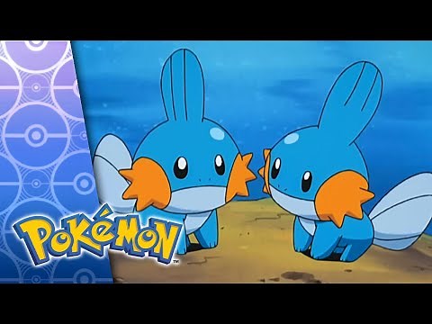 A Mudkip Mission | POKÉMON FULL EPISODE 25 | Season 6