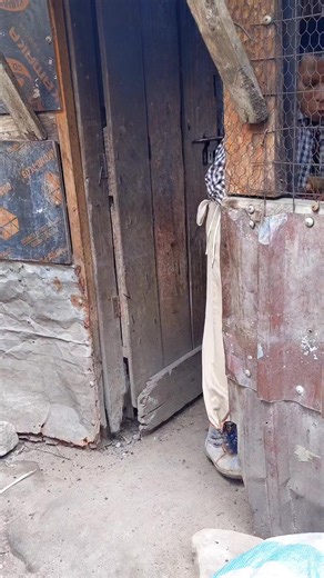 Tanzania TikTok Comedy: Hilarious Moments Unleashed